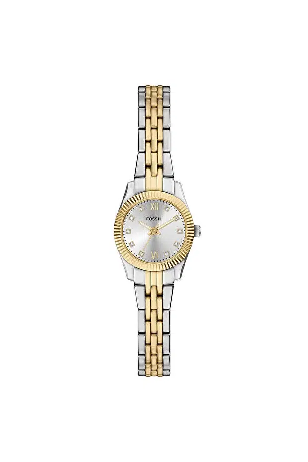 FOSSIL SAAT FES5473 - ,