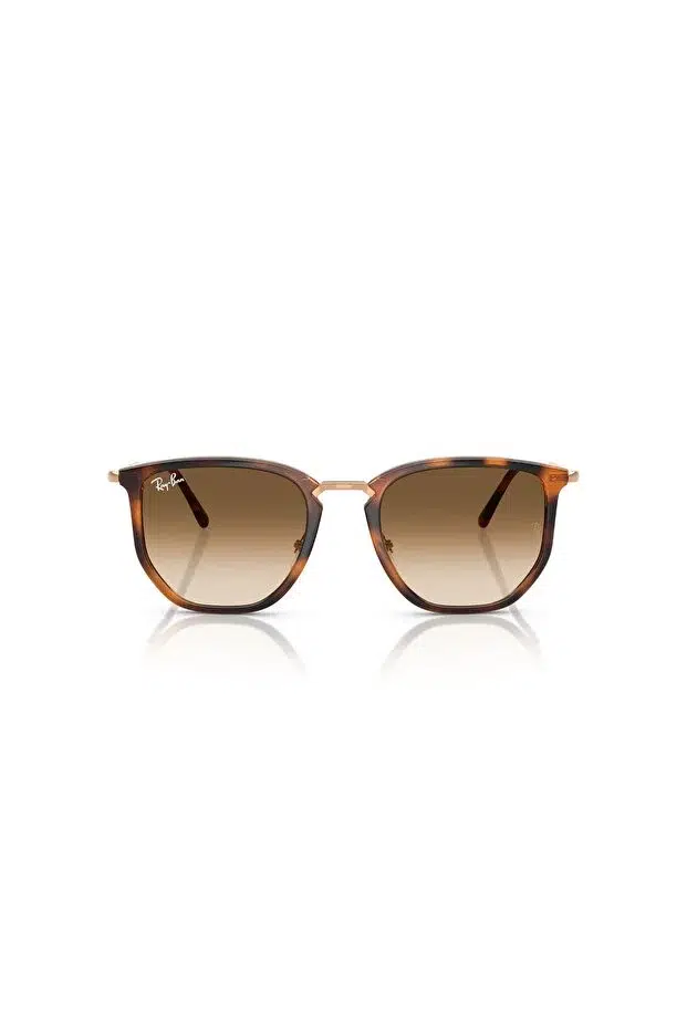 LUXOTTICA RAY-BAN ENJEKSİYON UNISEX GÜNEŞ 0RB4451 68045153 HN - ,