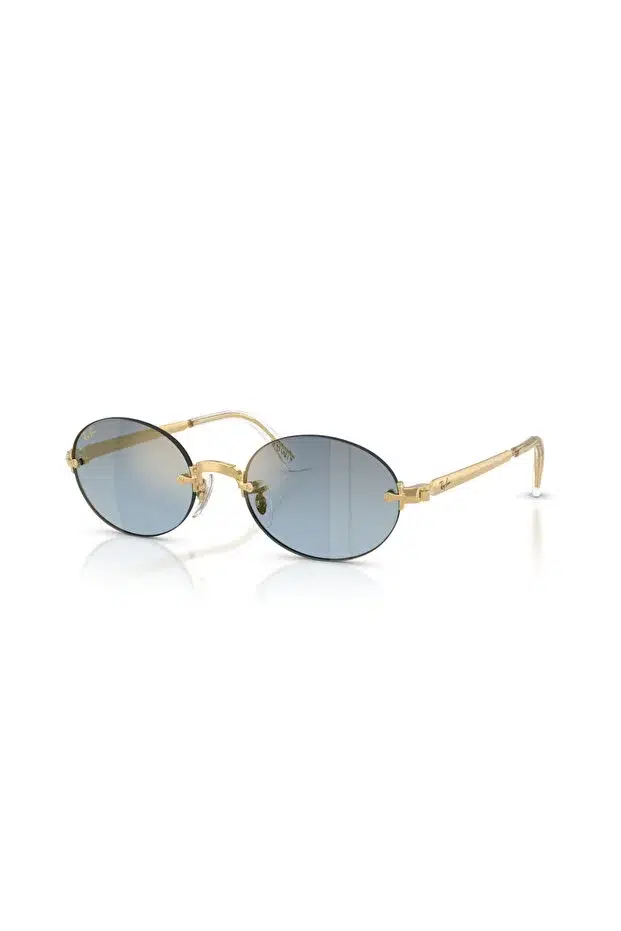 LUXOTTICA RAYBAN METAL Unisex Güneş Gözlüğü 0RB3929 001/S254HN - STANDART